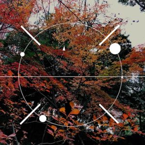 Composition and Framing Techniques